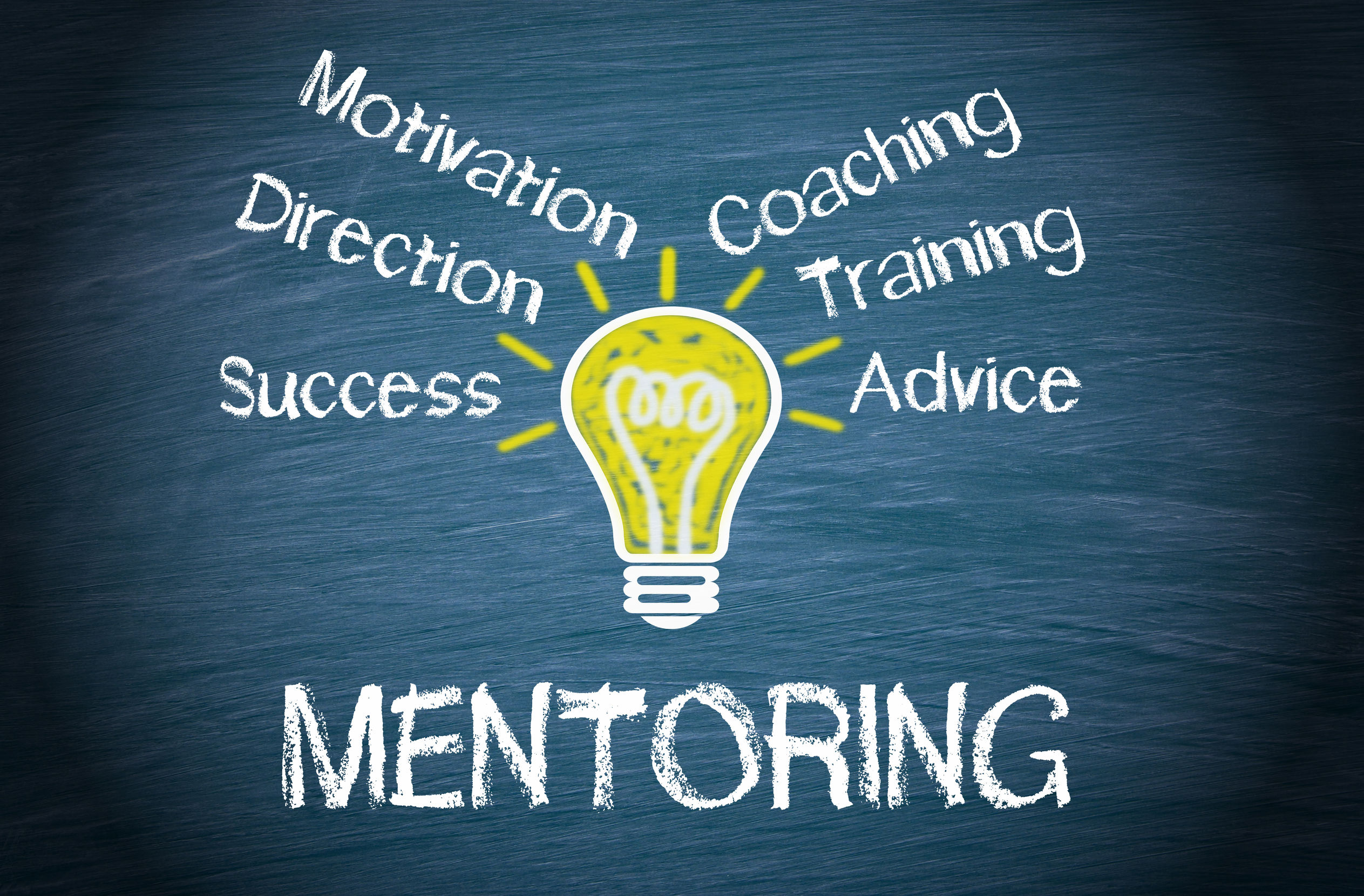 Private Mentoring Sessions